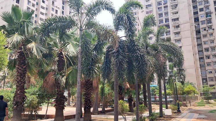 Exterior View, amrapali-princely-estate 3.5 Bedroom 1455 Sq.Ft. Apartment In Sector 76 Noida 9824305