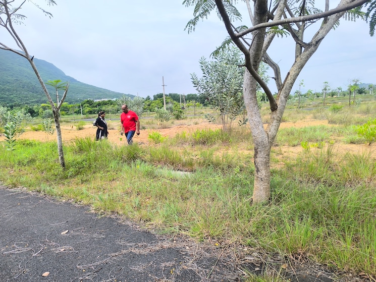 undefined, kothavalasa  4318 Sq.Ft. Plot In Kothavalasa Vizag 9828314