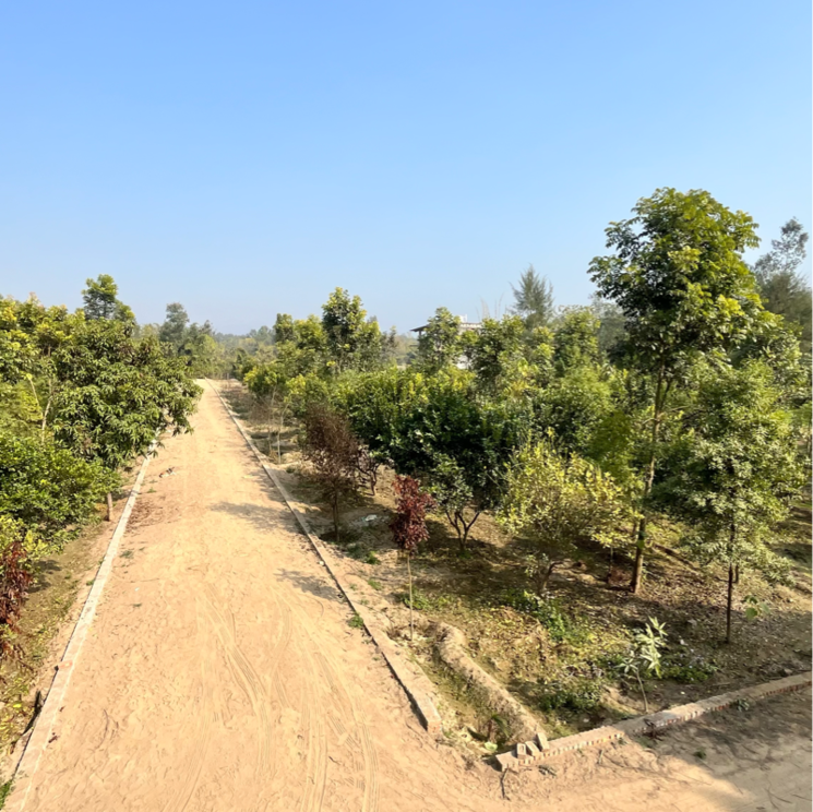 undefined, behat road  300 Sq.Yd. Plot In Behat Road Saharanpur 9830834