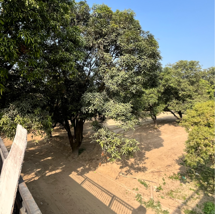 Garden, behat road  300 Sq.Yd. Plot In Behat Road Saharanpur 9830834