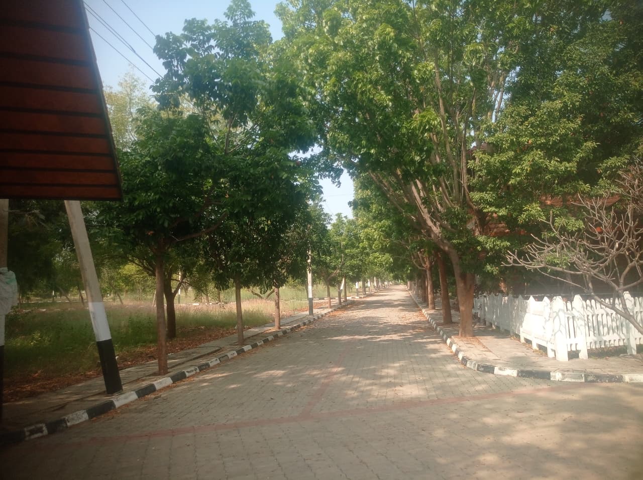 Plot For Sale in Chikkaballapur