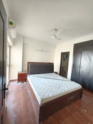 2 BHK Apartment For Rent in Aims Golf City, Sector 75