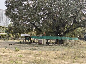 Plot Area in  Plot at Balewadi – for Sale