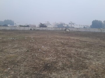  Plot For Sale in Safedabad