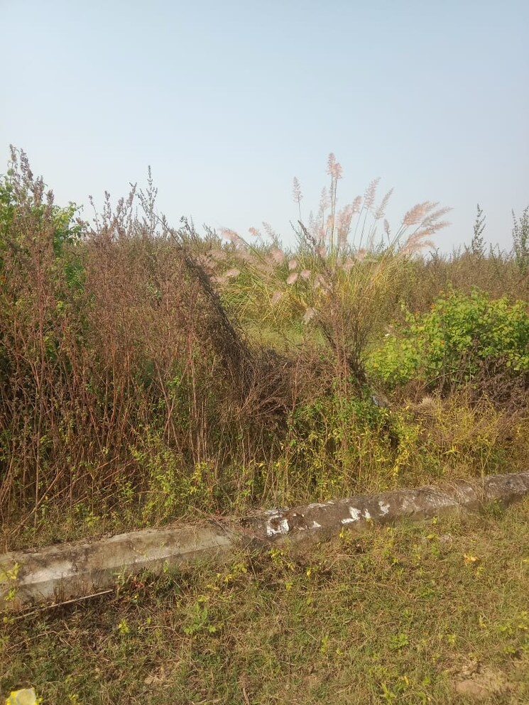 undefined, deva road  5500 Sq.Ft. Plot In Deva Road Lucknow 9836342