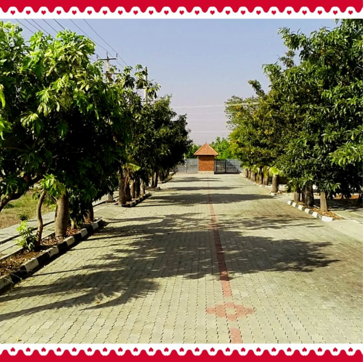 Exterior View, gauribidanur  1200 Sq.Ft. Plot In Gauribidanur Bangalore 9841016