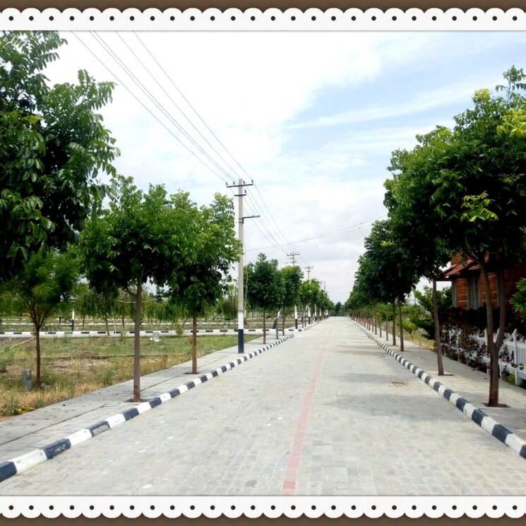 undefined, gauribidanur  1200 Sq.Ft. Plot In Gauribidanur Bangalore 9843417