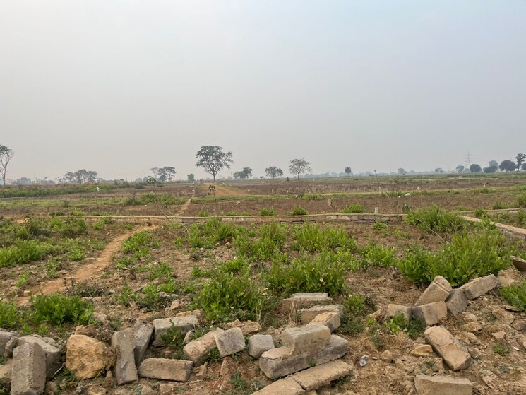 undefined, mahaveer nagar  944 Sq.Ft. Plot In Mahaveer Nagar Raipur 9846718