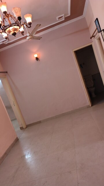 Furnished Amenities in 3 BHK Builder Floor at Mayfield Garden – for Rent