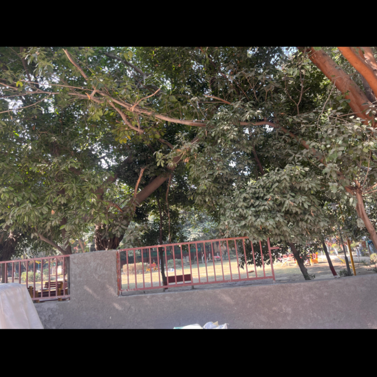 Swimming Pool, white-pearl-residency  423 Sq.Yd. Plot In Sector 5 Gurgaon 9847008