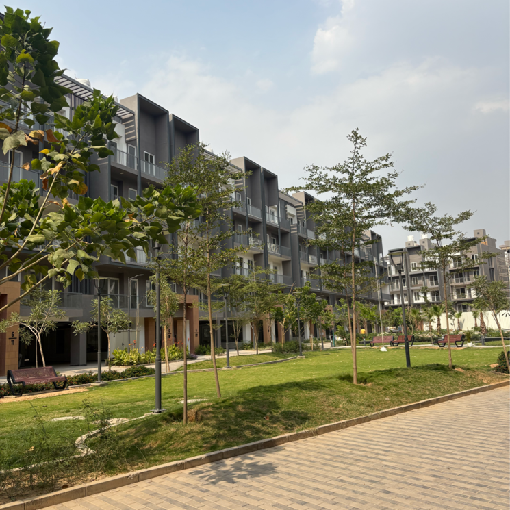 Cover Image, smart-world-orchard 3.5 Bedroom 1705 Sq.Ft. Apartment In Sector 61 Gurgaon 9848599