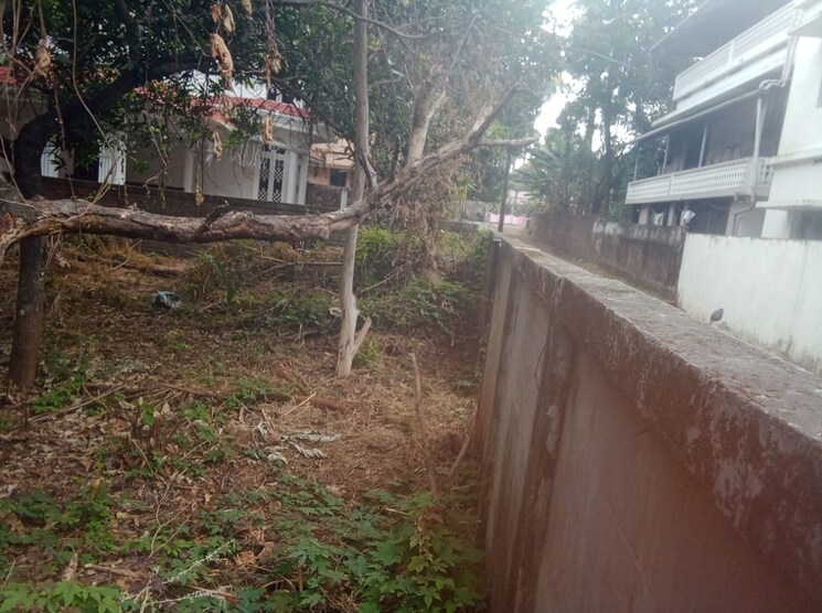 undefined, kuriachira  3267 Sq.Ft. Plot In Kuriachira Thrissur 9851394