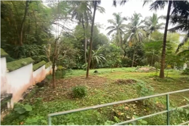 Garden, puzhakkal  6969 Sq.Ft. Plot In Puzhakkal Thrissur 9851610