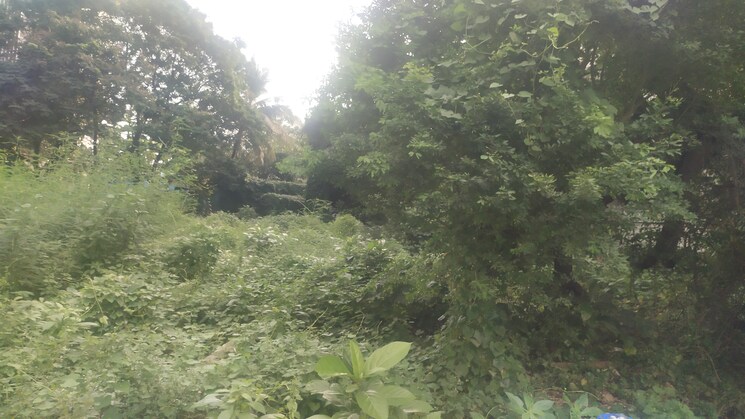 Cover Image, crest-oaks Commercial Land 16000 Sq.Ft. In Marol Mumbai 9854582