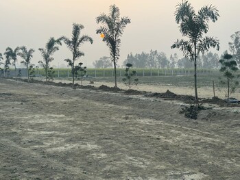 Plot for Sale in Sultanpur Road, Lucknow