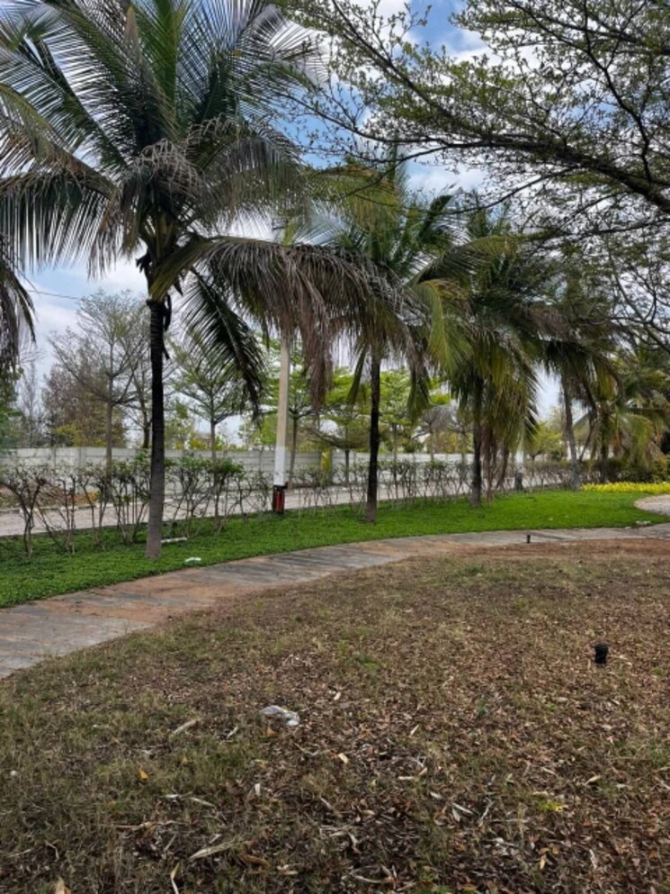 undefined, gauribidanur  1200 Sq.Ft. Plot In Gauribidanur Bangalore 9864301