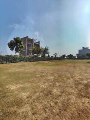 Plot Area in  Plot at Sector 97 – for Sale