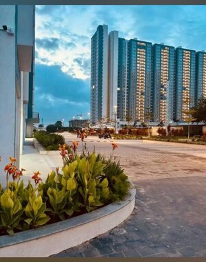 2 BHK Apartment For Sale in Godrej Park Retreat, Sarjapur Road