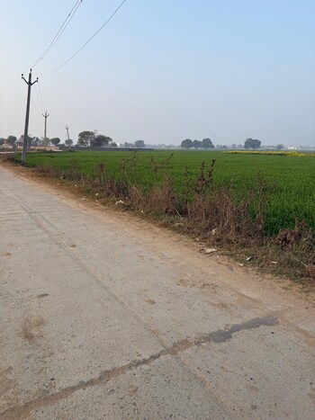 YEIDA Plots