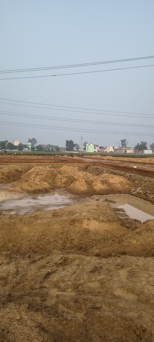  Plot – Exterior View View at Jattari - for Sale