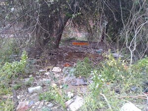 Plot Area in  Plot at Saraswati Vihar Colony – for Sale