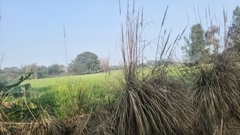 Land for Sale in Nawabganj, Unnao