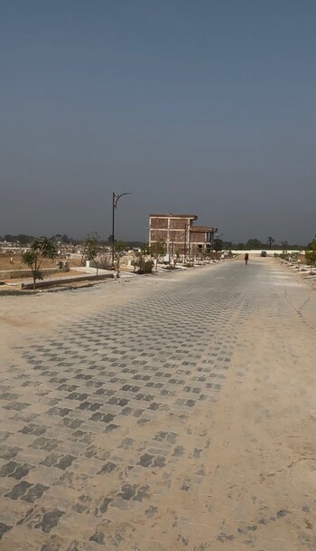 Riyasat vatika