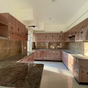 Kitchen in 3 BHK Builder Floor at BPTP Amstoria, Sector 102 – for Rent