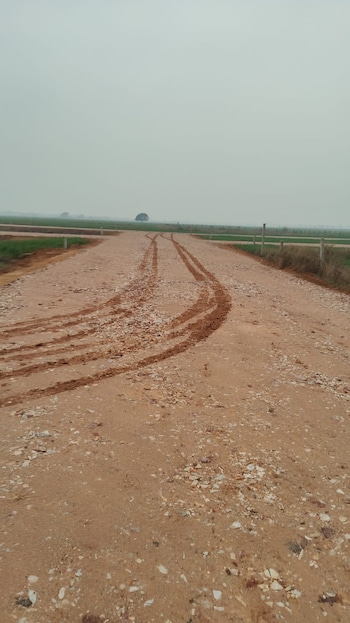 Plot for Sale in Jhajjar Road, Gurgaon