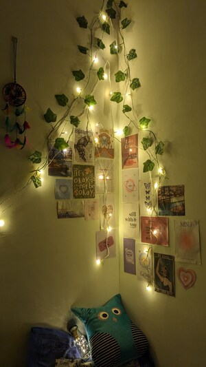  Pg For Rent in Vineet Khand