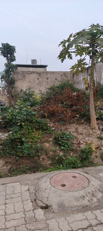 Plot for Sale in Jankipuram, Lucknow