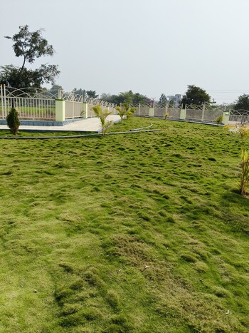 Golden County Rampally