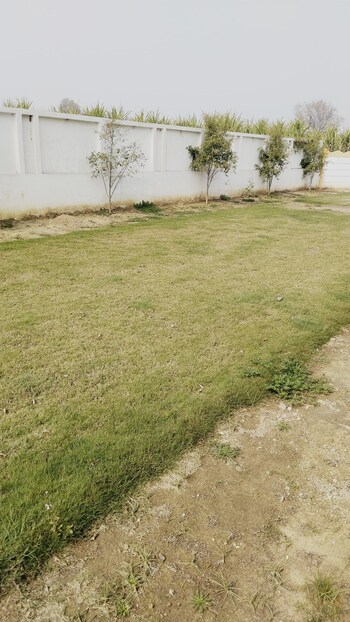 Plot for Sale in Daurala, Meerut