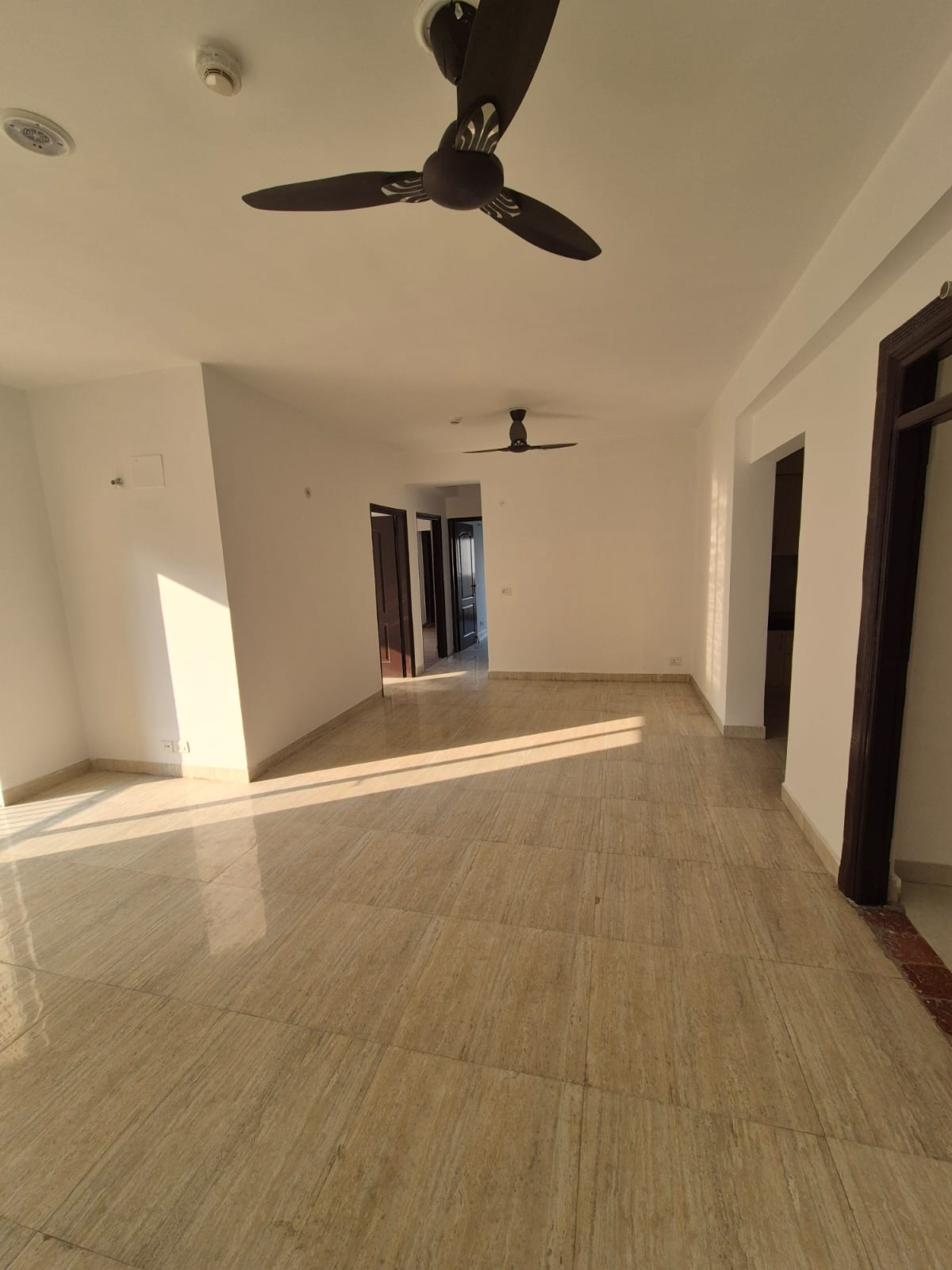3 BHK 1350 Sq.Ft. Apartment in ATS Allure