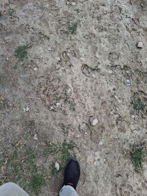 Plot Area in  Plot at Gosainganj – for Sale