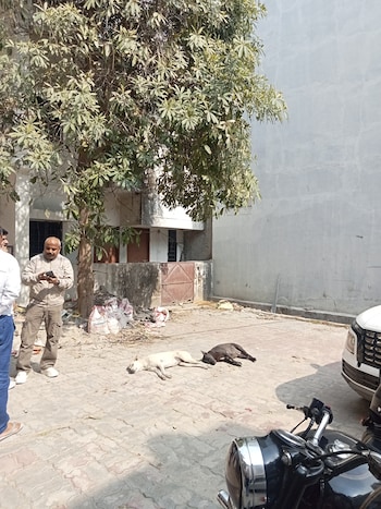 4 BHK House for Sale in Gomti Nagar, Lucknow