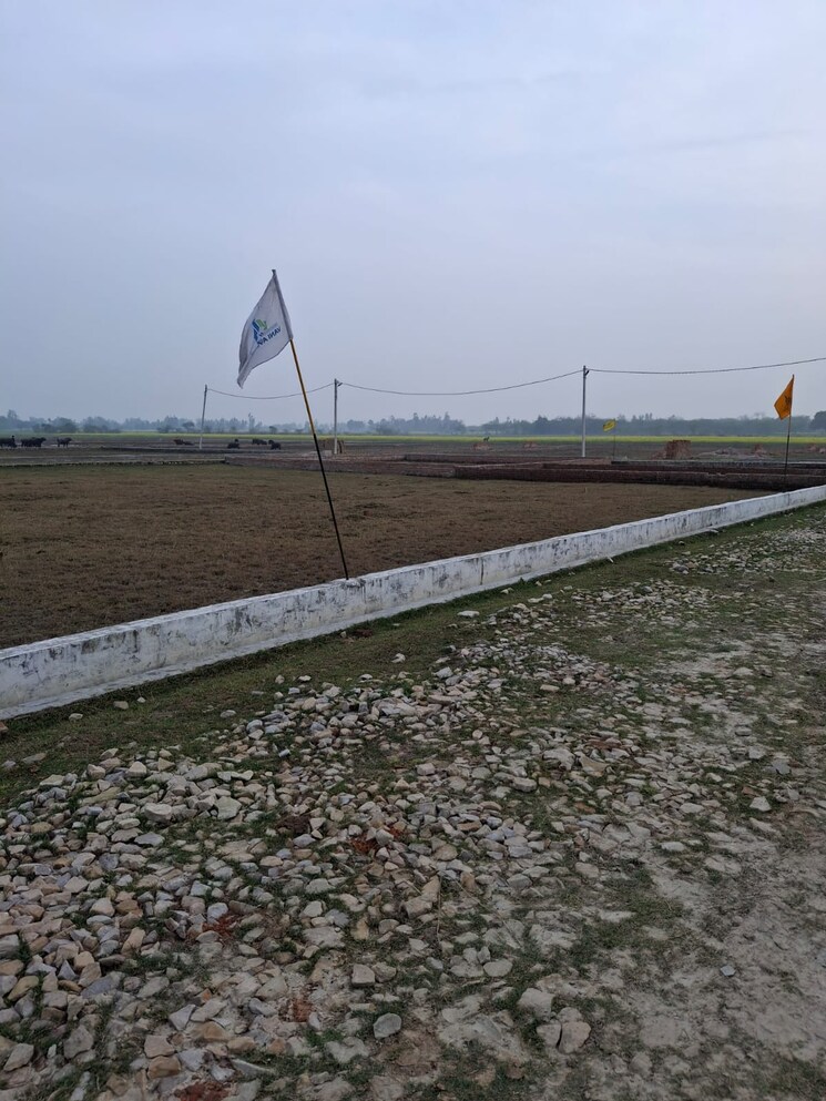 undefined, gosainganj  1618 Sq.Ft. Plot In Gosainganj Lucknow 9927953