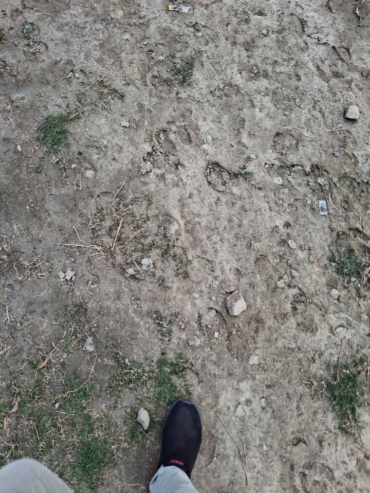 undefined, gosainganj  1618 Sq.Ft. Plot In Gosainganj Lucknow 9927953