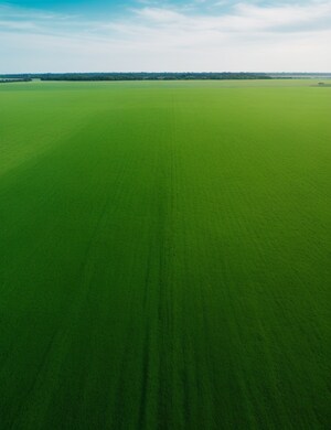 Plot Area in  Plot at Mullanpur – for Sale