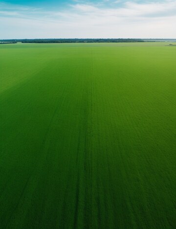 Plot Area in  Plot at Mullanpur – for Sale