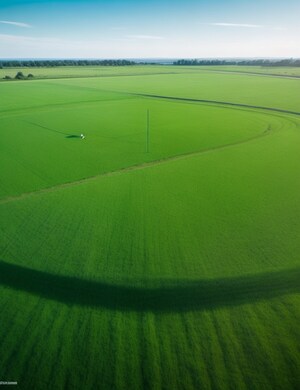 Plot Area in  Plot at Mullanpur – for Sale