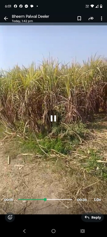 Plot for Sale in Hodal, Palwal