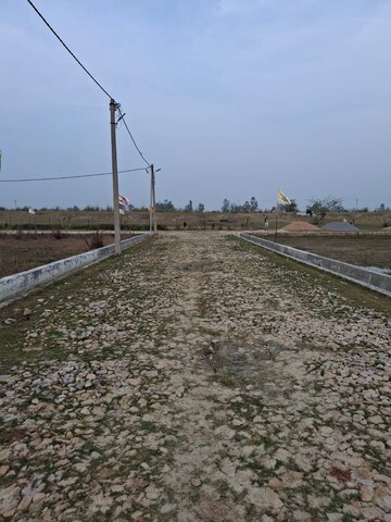 Plot Area in  Plot at Gosainganj – for Sale