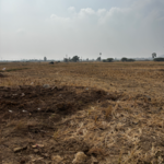 269 Sq.Yd. Plot in Narketpalle