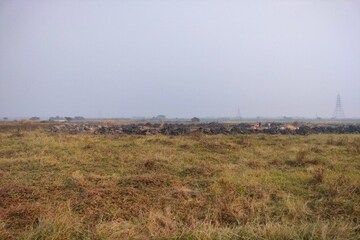  Plot For Sale in Narketpalle