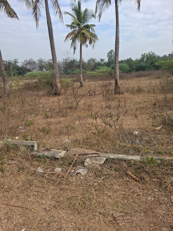Plot for Sale in Sangareddy, Hyderabad