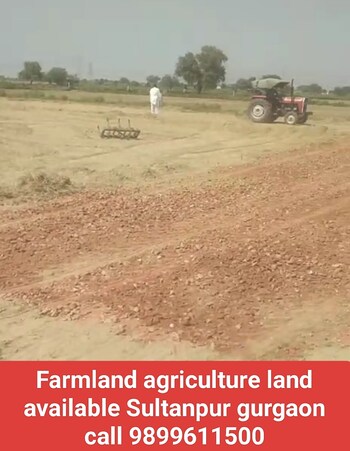 Plot for Sale in Dhankot, Gurgaon