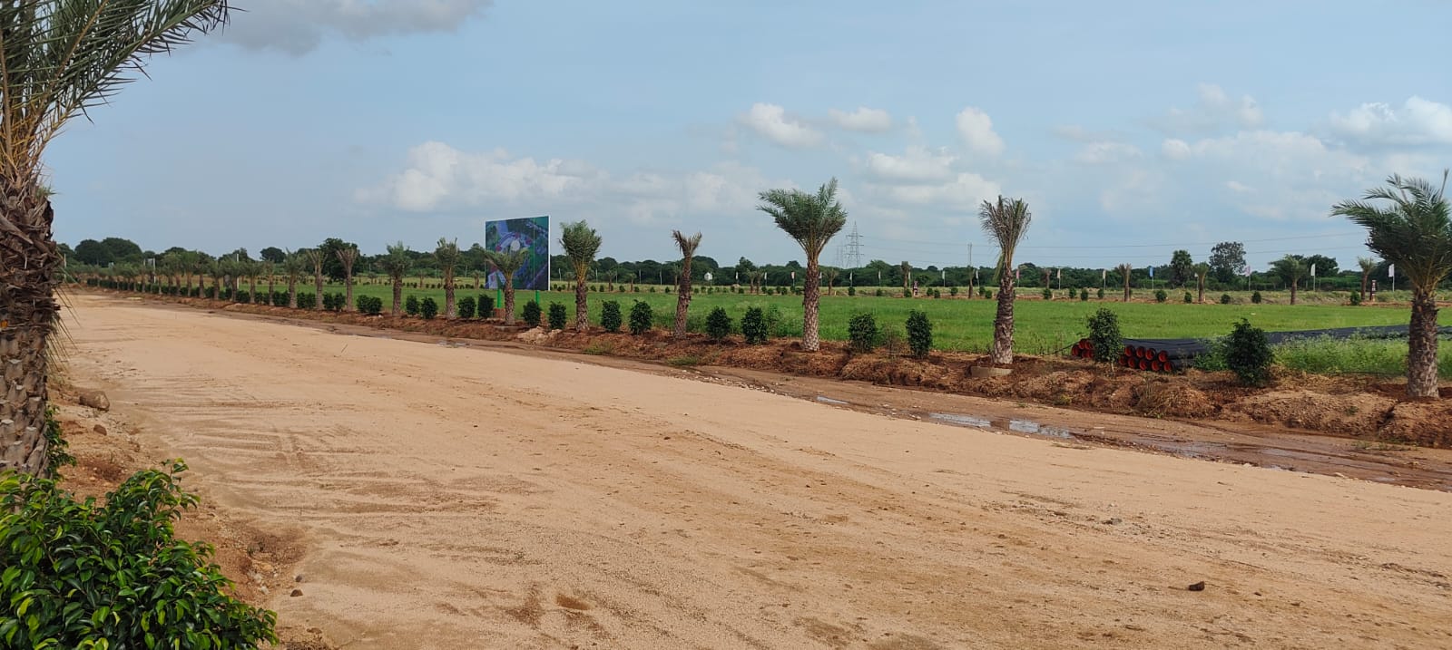 Plot For Sale in TDI city