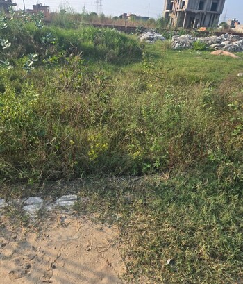 Laxmi Land City