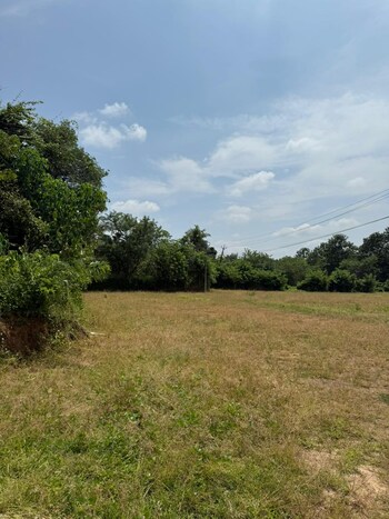 Plot for Sale in Olavakkode, Palakkad